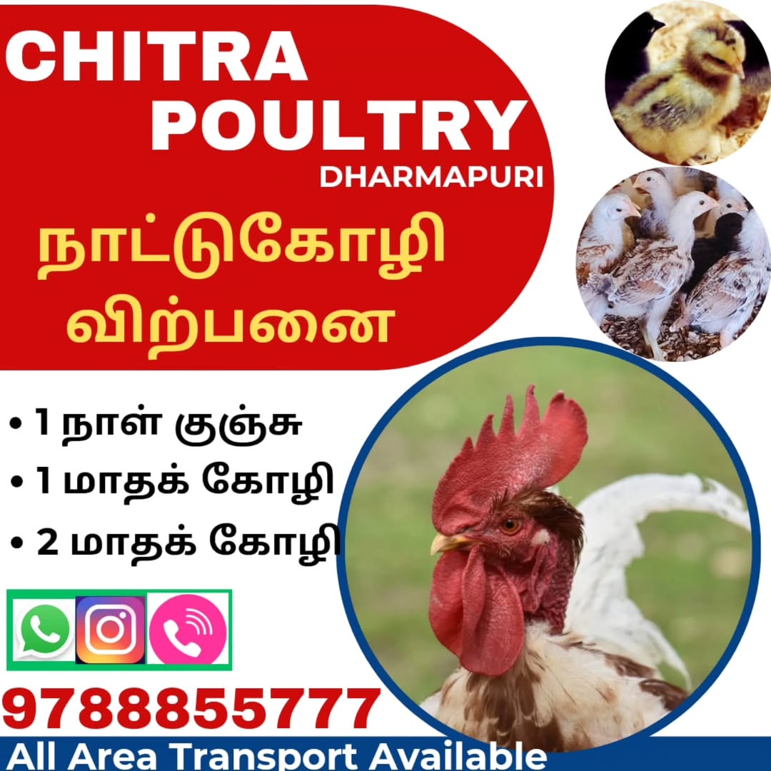 dharmapuri